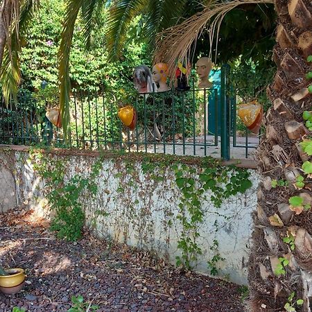 Appartement & Spa - Panoramic Olivars Pau Екстер'єр фото